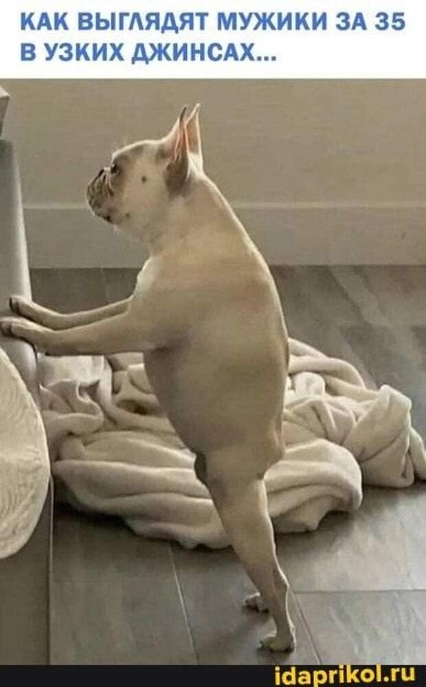 Сегодня: Шьем и шутим , вяжем и шутим. Приветствую всех дорогих подписчиков и всех кто присоединился. Мы рукодельницы народ юморной . Всегда готовы посмеяться и пошутить.-12