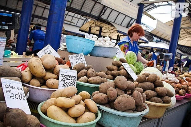 Раскрыта главная "засада" с ростом цен на продукты Фермерские предсказания