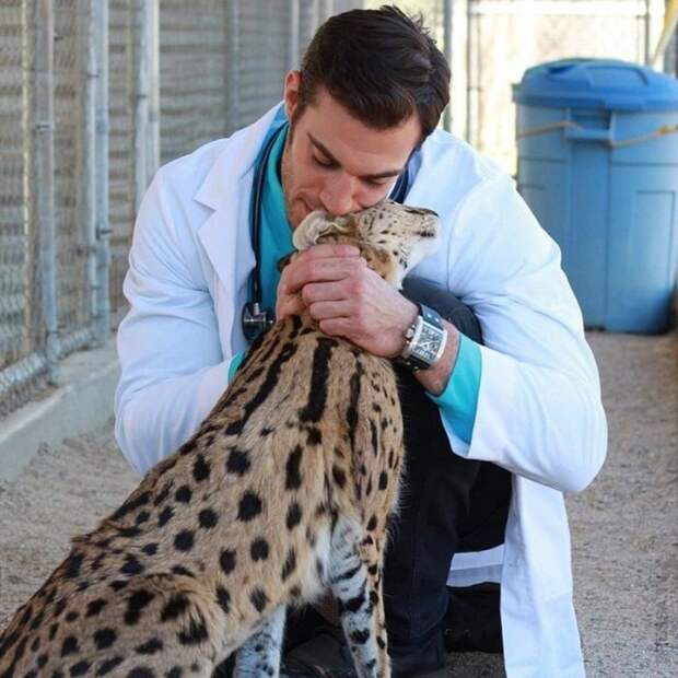 Ветеринары и их благодарные пациенты