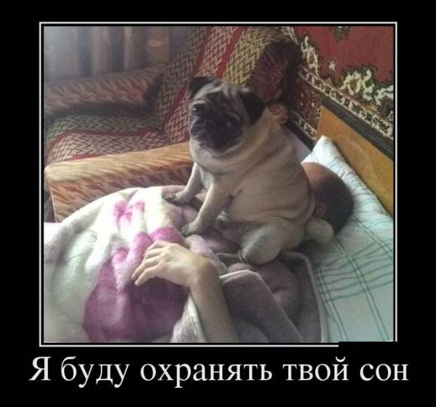 Демотиваторы. Отлично!