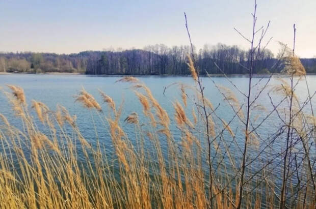 На границе РФ и Казахстана временно закрыли КПП из-за разлива реки