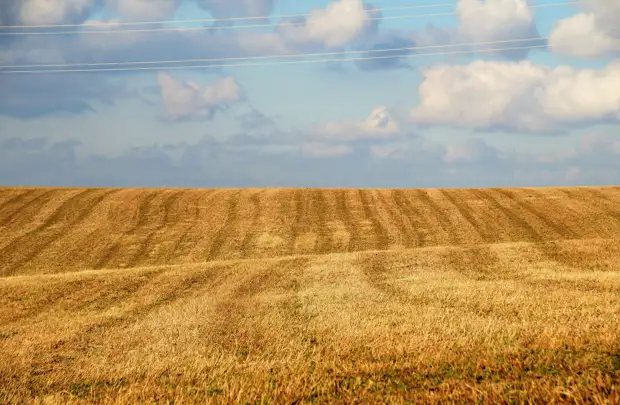 НСА: рынок агрострахования России в 2021 году вырос на 14% до 9,2 млрд рублей, страховые выплаты аграриям достигли 5,7 млрд рублей