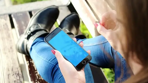 В Московской области рассказали о работе приложения «Проверки Подмосковья»