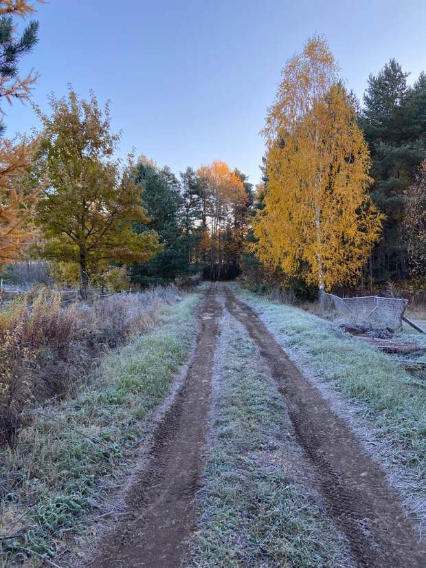 замершая дорожка