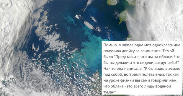 Забавные истории людей с просторов сети Забавные истории людей с просторов сети