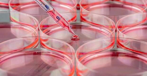 Что такое дистрофия? Виды, классификация, симптомы, лечение и причины