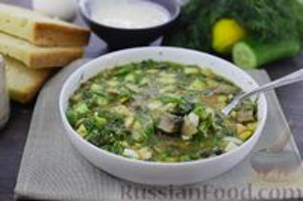 Фото к рецепту: Холодник с курицей и грибами, на квасе