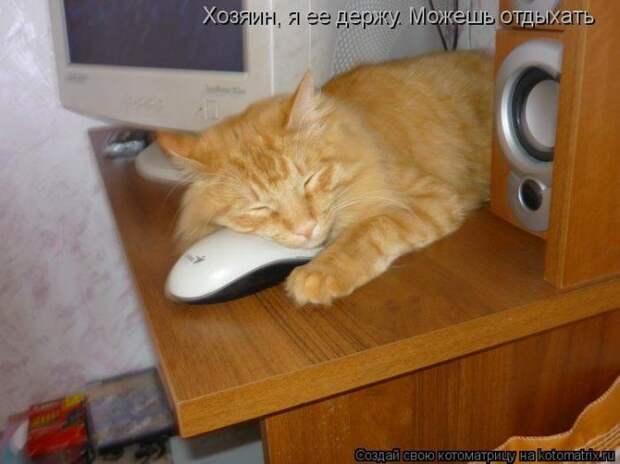 Мысли вслух :)
