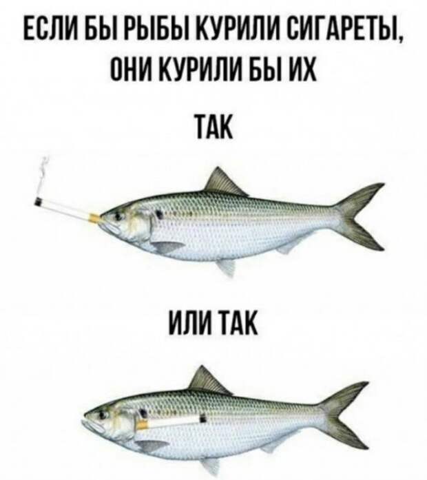 Немного картинок для настроения Немного картинок для настроения