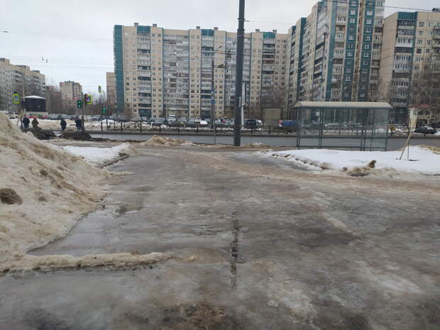 В Петербурге люди отчаялись ждать помощи в уборке снега и сами вышла на улицы с песком