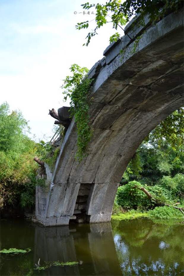 14.jpg 14.jpg