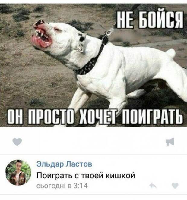 Немного веселых картинок