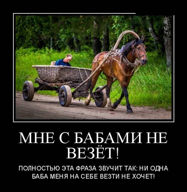 Демотиваторы
