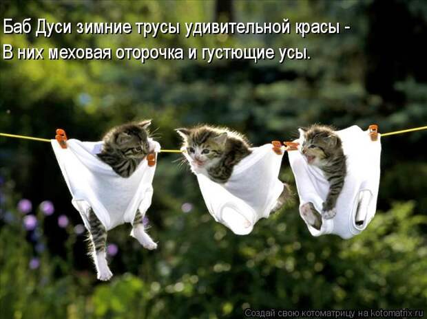 Котоматрица - Баб Дуси зимние трусы удивительной красы - В них меховая оторочка и гу