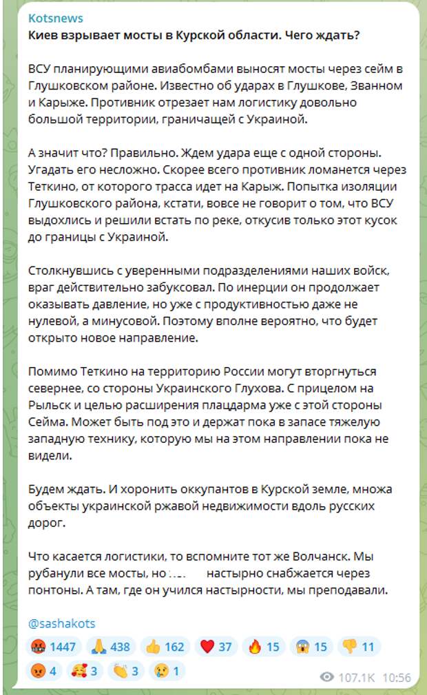 ФОТО: Скриншот https://t.me/sashakots
