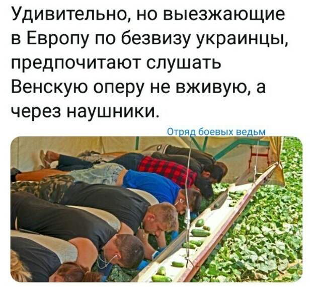 Политические картинки