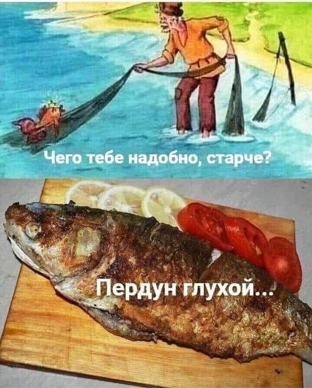 Как оправдать правителя государства – мое мнение