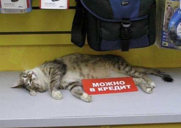 Так себе картинки
