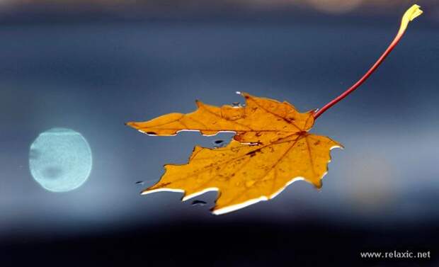 october_001 october_001