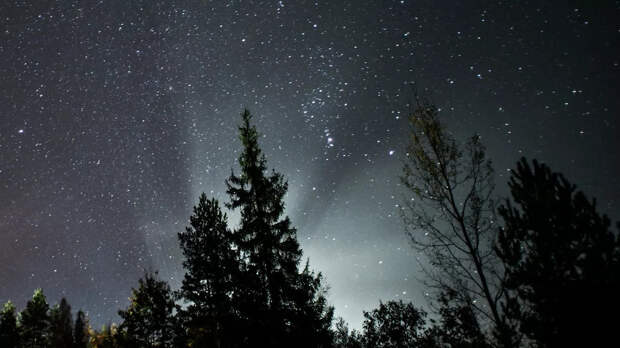 В марте три планеты выстроятся в одну линию: что известно о «Поцелуе Венеры»