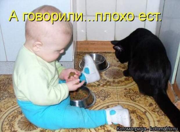 Новая котоматрица для настроения. Смотрим приколы