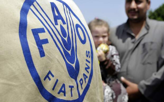 директор отделения Продовольственной и сельскохозяйственной организации ООН в Германии Мартин Фрик заявил, что в портах Украины находится 4,5 млн. тонн зерна. 