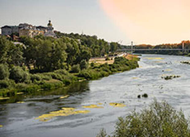 Здесь будут петь ангелы