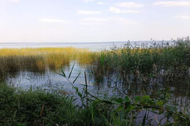 Пропавших в Подмосковье детей продолжат искать