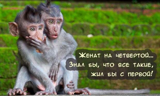 Самая веселая подборка прикольных картинок Самая веселая подборка прикольных картинок