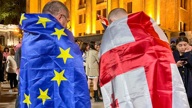 Евросоюз: двойные стандарты и вмешательство в политику Грузии