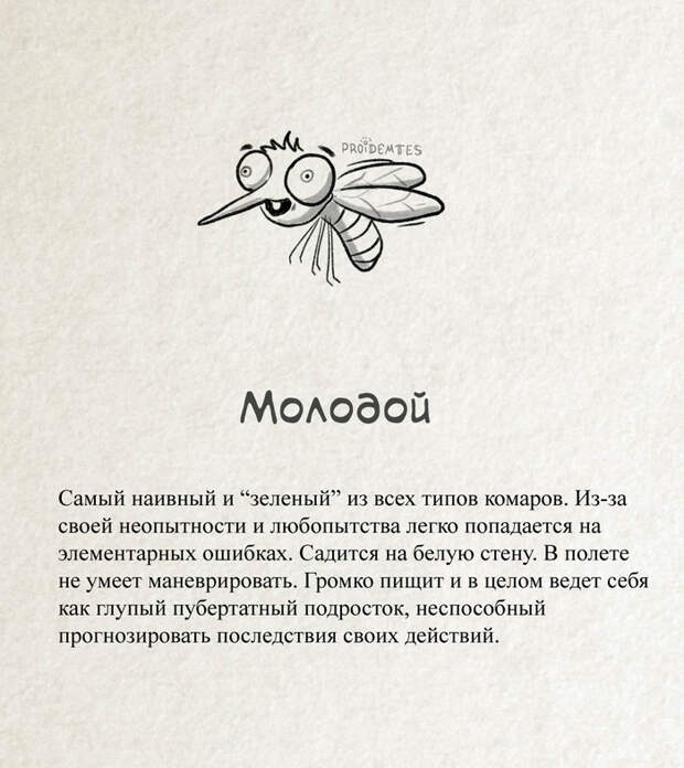 Классификация комаров Proidemtes, Комары, Юмор, Длиннопост, Насекомые