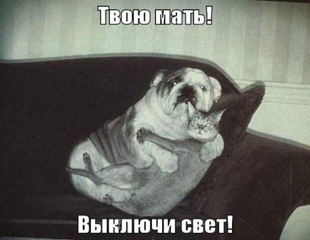 Всё в кучу 6
