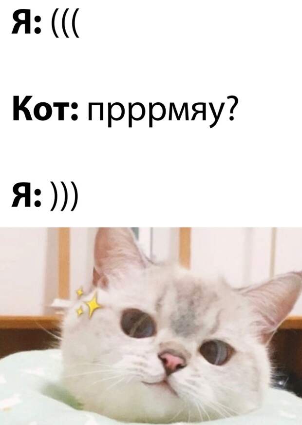 Смешные картинки 29 октября 2021 года