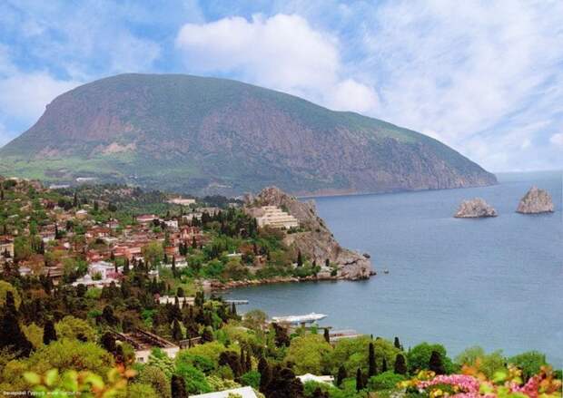 В Крыму, обходя запреты, итальянцы начнут производство оливкового масла