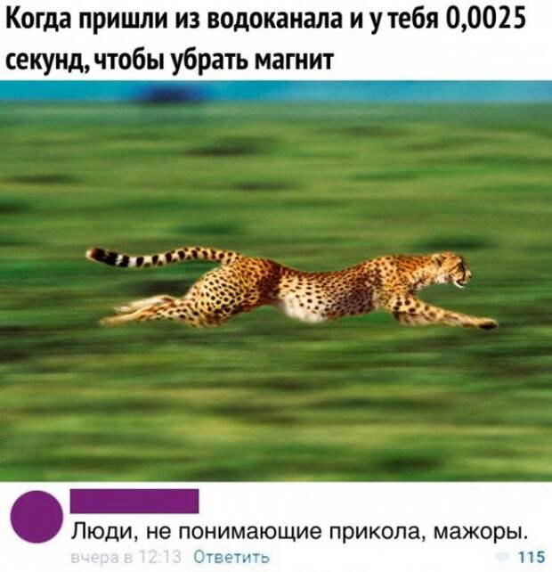 Немного веселых картинок