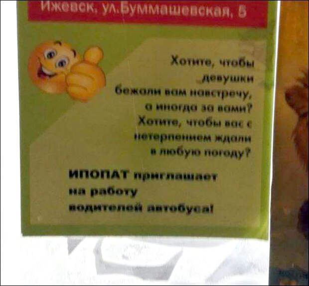 Нет никого популярнее, чем водитель автобуса. | Фото: Шняги.Нет. Нет никого популярнее, чем водитель автобуса. | Фото: Шняги.Нет.