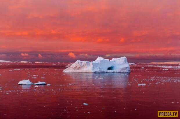 Прикольные фотографии - Субботний выпуск (53 фото)