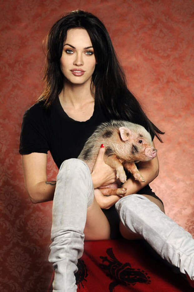 Меган Фокс с милейшей свинкой животные, знаменитости, интересное, фото