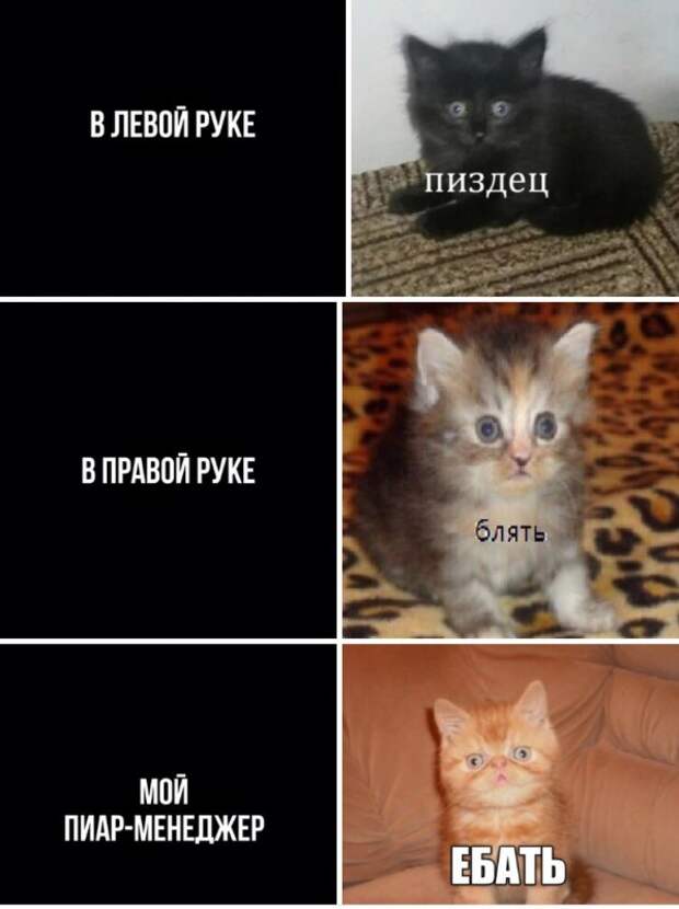 Бляздец