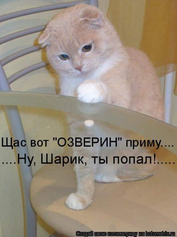 Мысли вслух :)