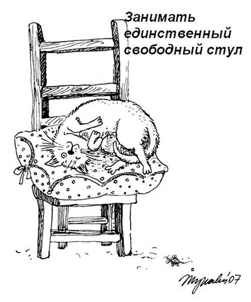 Кошачий пост жизнь кота, кот