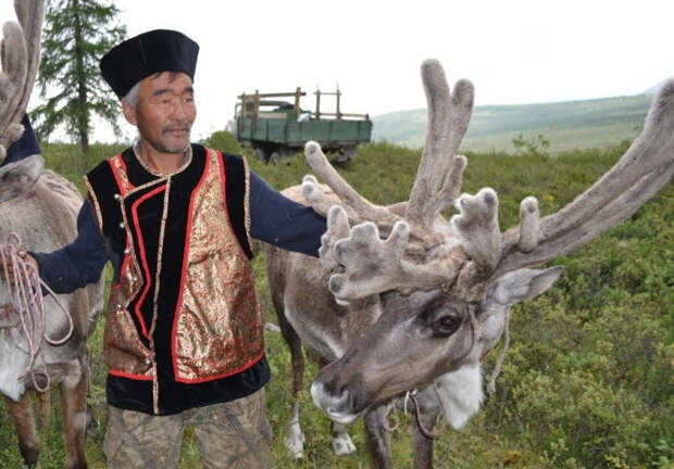 2 сойоты