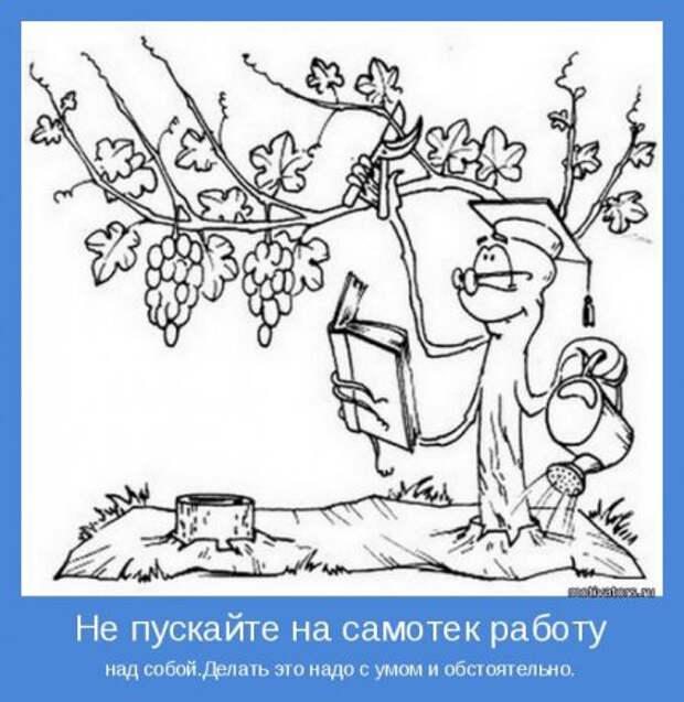 Мотиваторы. Учимся использовать результаты победы.