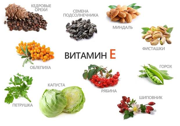 Картинки по запросу продукты содержащие витамин е