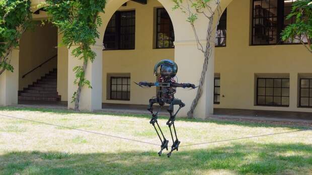 robot