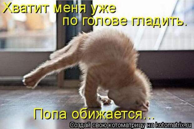 Котоматрицы(картинки с надписями)