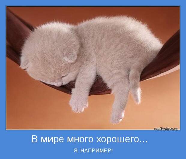 картинки - мотиваторы