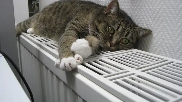 Минэнерго России ожидает роста энергопотребления в текущем отопительном сезоне