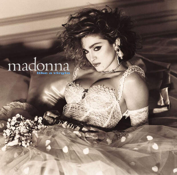 https://static.boredpanda.com/blog/wp-content/uploads/2018/07/iconic-madonna-scenes-dog-recreation-maxdonna-vincent-flouret-5b5ae48104a9e__700.jpg