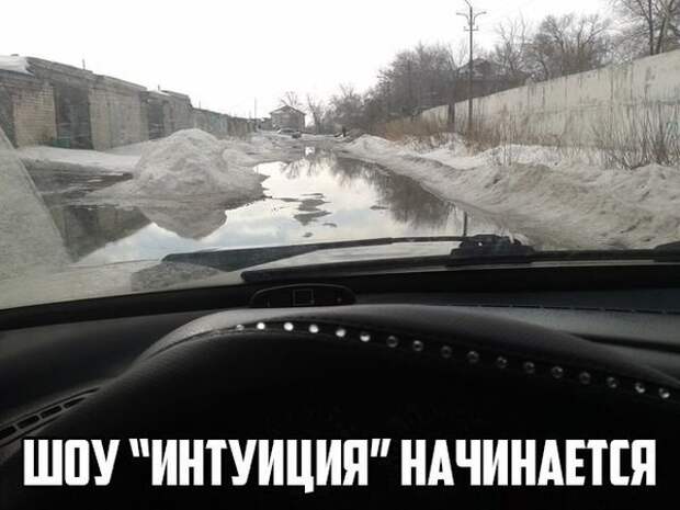 Весело до сумасшествия